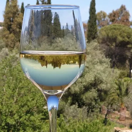 Hibiscus - A Appartement